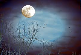 moon Your Worth (On the Night You Were Born)