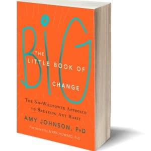 The little book of big change