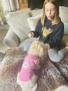 little girl feeding dog understanding misunderstanding
