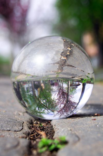 Glass ball on the pavement, reflecting the trees and surroundings.