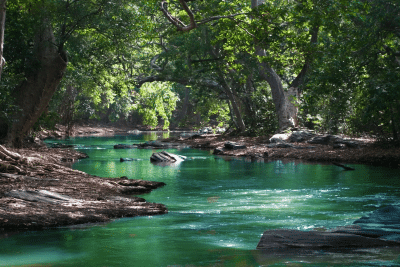 Photo of a turquoise river flowing through a wooded area