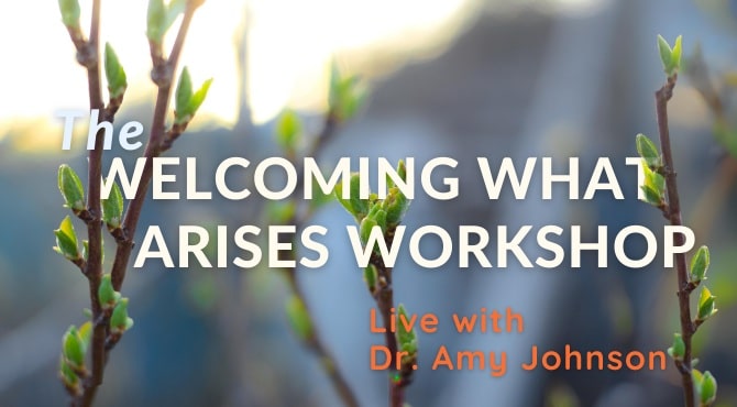 Banner for the workshop called Welcoming What Arises